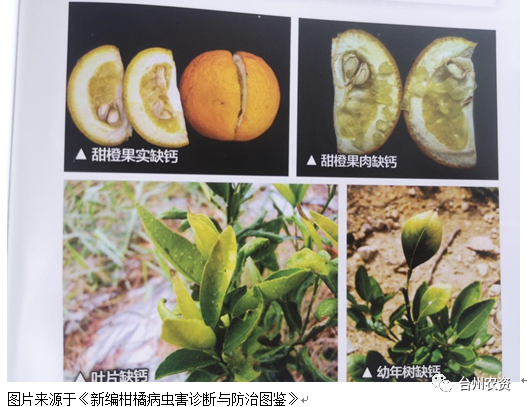 臺州農(nóng)資 臺州農(nóng)資